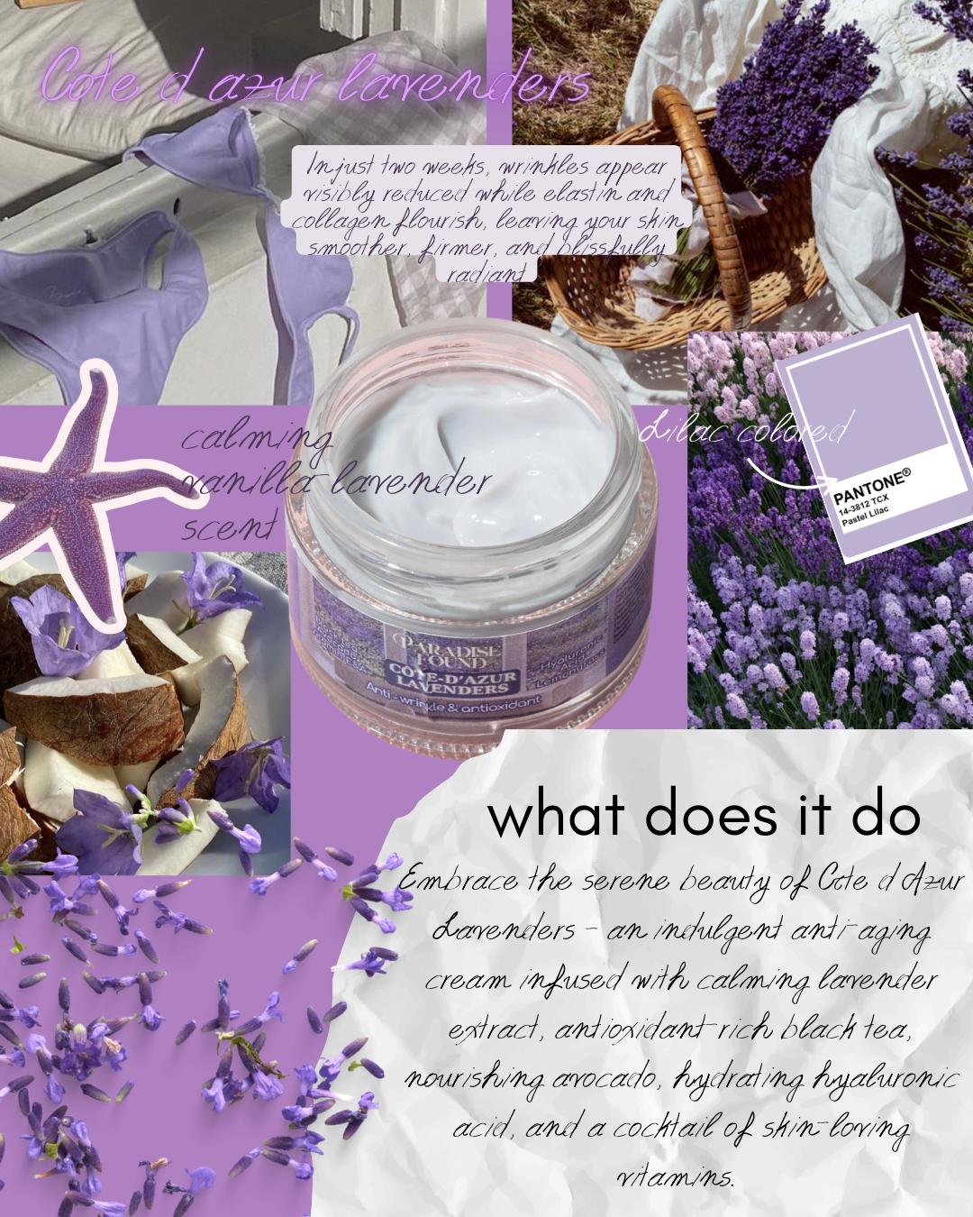 Côte d'Azur Lavenders • Rich antioxidant cream